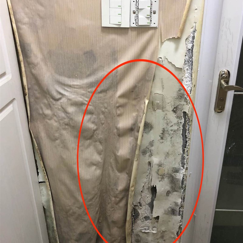 墙贴墙壁防水防潮防霉墙面装饰木纹卧室贴画卫生间修复受潮除碱剂