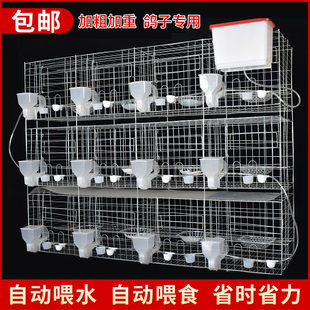 養(yǎng)鴿子專用籠 鴿子籠家用特大號鴿o子籠子繁殖配對養(yǎng)殖籠肉種鴿元