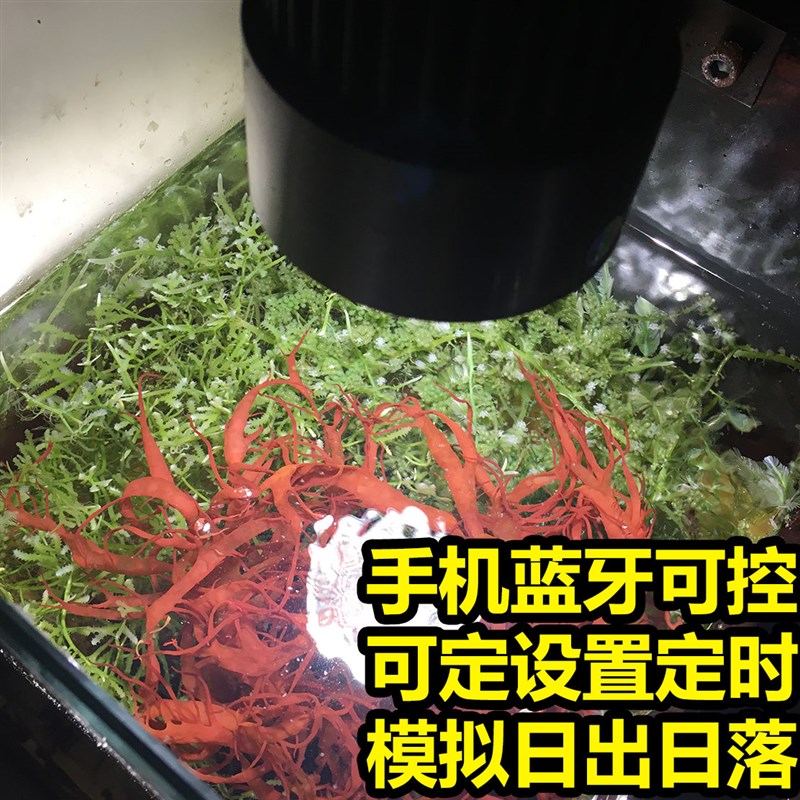 全光谱可调光藻缸灯定时LED模A拟日出日落海水珊瑚底缸养藻爆藻灯