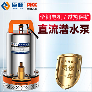 电动车电瓶水泵车高扬程抽水 臣源直流潜水泵小型12V24V48V60E伏