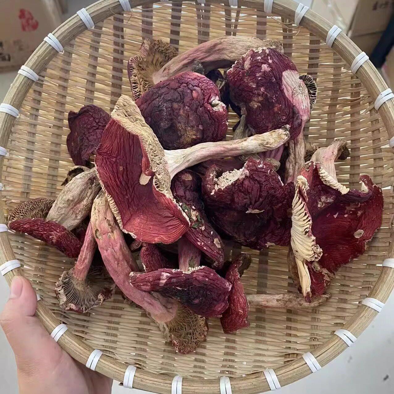 福建干货红菇 开伞红菇朵大红菇脚炖汤菌菇野红菇新货原材料新鲜