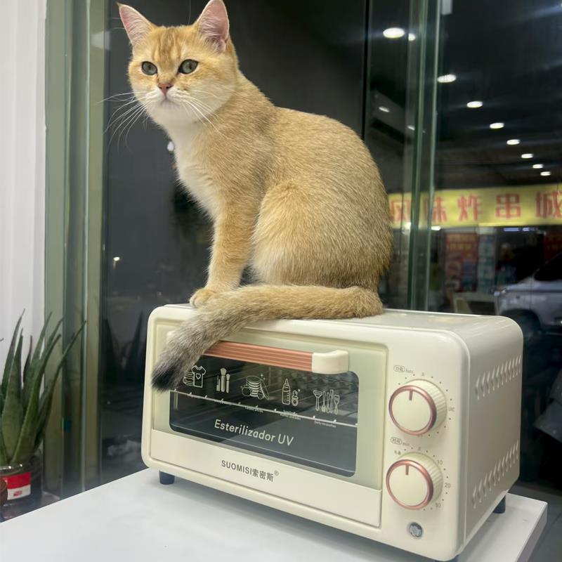 紫外线臭氧杀菌毛巾消毒柜理发工具美发店美容美甲修脚纹身消毒箱