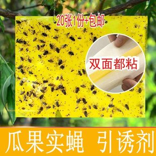 20张黄板农庄宝果蝇诱粘板包邮双面胶果实蝇桔小实蝇针蜂蚊蝇粘胶