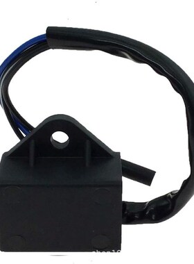 点火线圈 2520 3000 3010 适用于27034-1053 Suzuki QUV620F