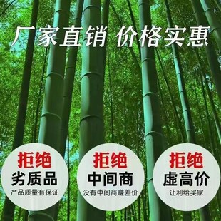 羊床板漏粪板羊床竹羊用羊舍羊粪板竹床羊棚羊圈板架子养殖场