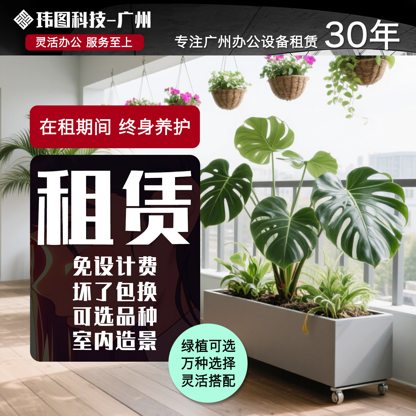 广州植物租赁绿化租摆办公室大绿植盆栽园艺上门养护花卉服务套餐,鲜花速递/花卉仿真/绿植园艺,大型绿植/成品组合盆栽,淘宝优惠券,粉丝福利购,淘宝优惠卷