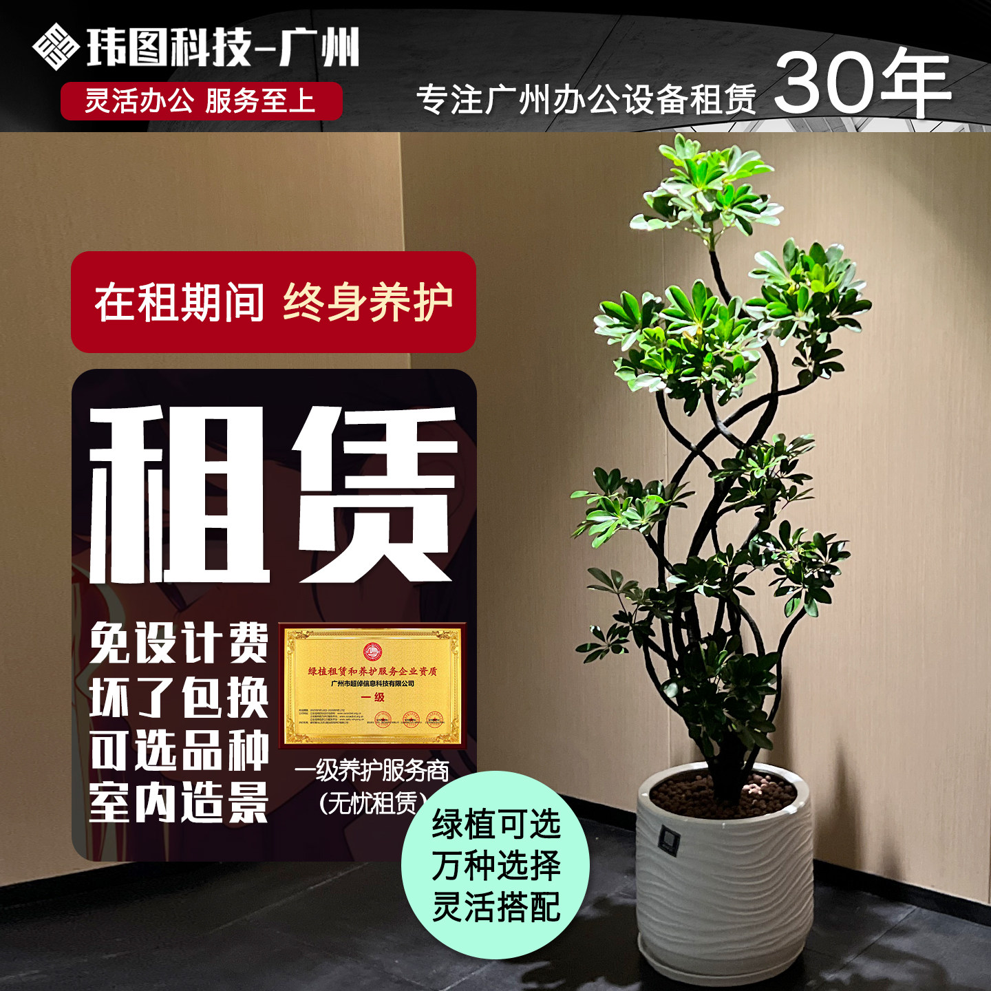 广州绿植租赁植物花卉办公室租绿植租摆养护上门养花盆栽植物室内,鲜花速递/花卉仿真/绿植园艺,大型绿植/成品组合盆栽,淘宝优惠券,粉丝福利购,淘宝优惠卷