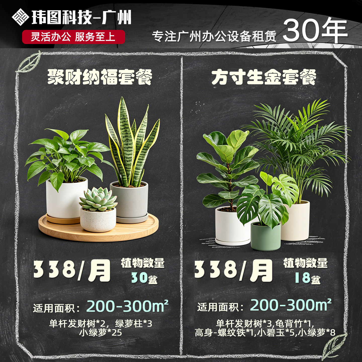 广州绿植租赁植物花卉办公室租绿植租摆养护上门养花盆栽植物室内