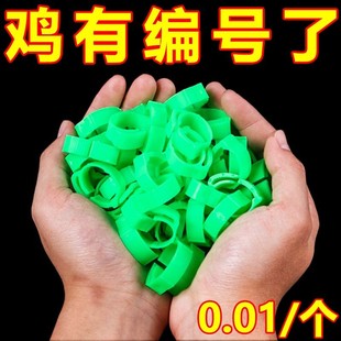 养殖厂鸡脚环自动卡扣鸡做记号防走失家禽识别扣环鸟用脚环标记