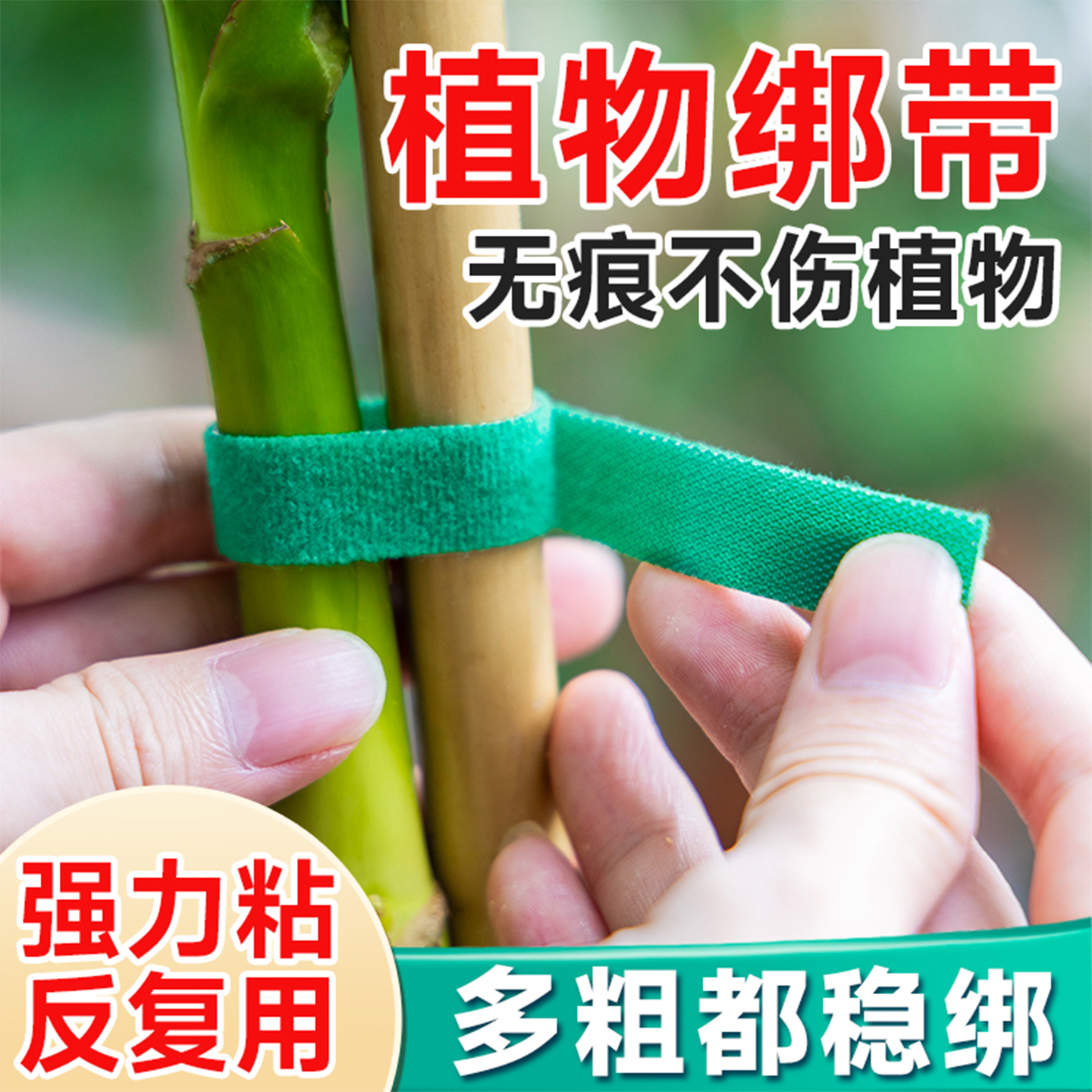 绿植绑带造型魔术贴双面粘