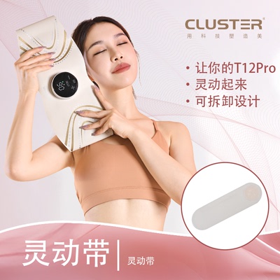 Cluster配件灵动带（仅袋子!!）