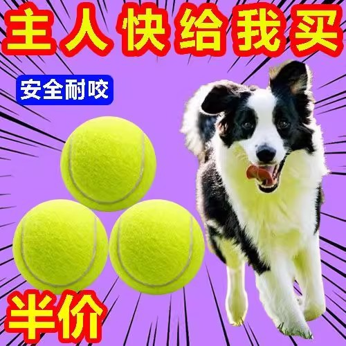 宠物狗狗玩具球解闷神器