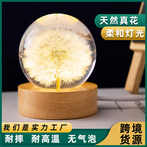跨境货源蒲公英水晶球小夜灯永生花3D内雕发光实木底座水晶礼物M2