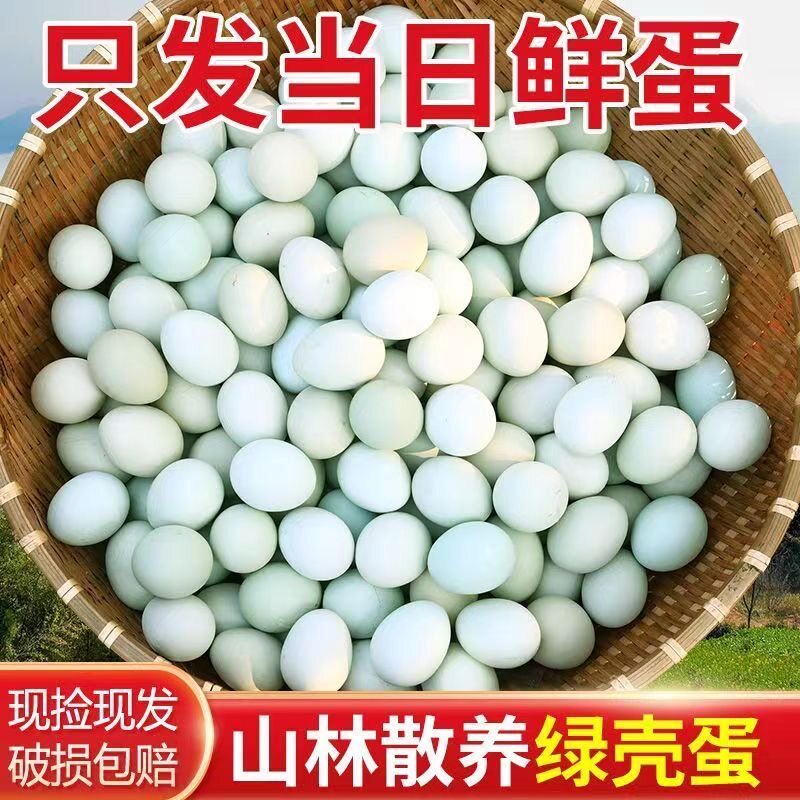 正宗散养农家乌鸡蛋50枚整箱