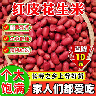 2025东北红衣花生红皮花生米50g-5斤精选高质量生花生米当季新粮