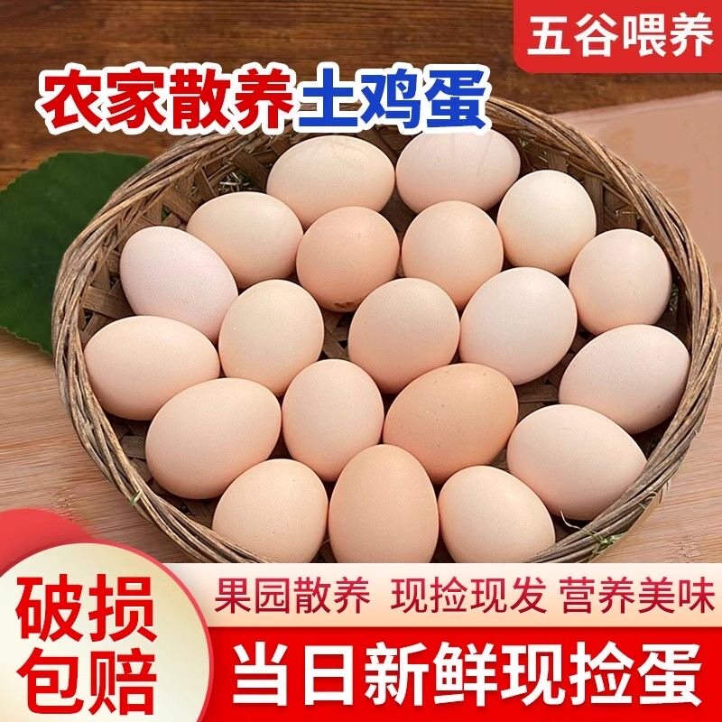 【40枚土鸡蛋】农家土鸡蛋笨鸡蛋散养蛋虫草蛋现捡现发新鲜土鸡蛋