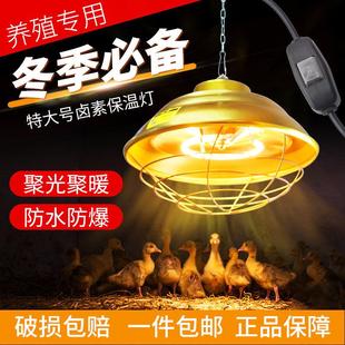 卤素保温灯养殖场专用保温灯罩猪仔雏鸡灯罩小猪取暖灯卤素灯管