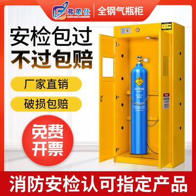 弗莱仕气瓶柜安全柜全钢防爆工业乙炔氧气瓶柜实验室双瓶瓦斯罐柜