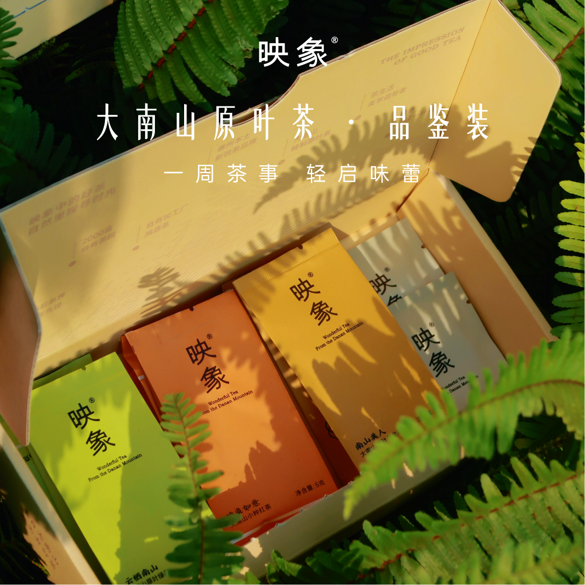 映象七款风味新茶试喝品鉴八泡装