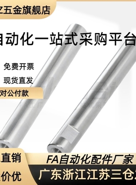 导向轴PSSFGS6 8 10 12 13 15 16 20 25 30-25~1498-