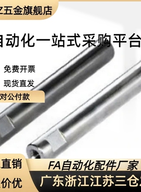 导向轴VSFAG8 10 12 13 15 16 20 25 30-25~448-F-P-