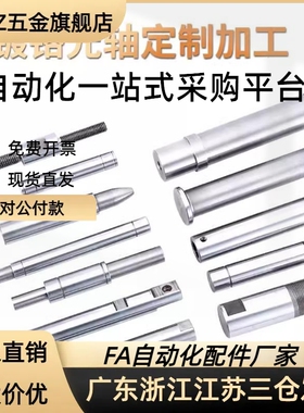 导向轴 PSFPA PSFPGA8-25-F2-P6-M3-N3-SC010