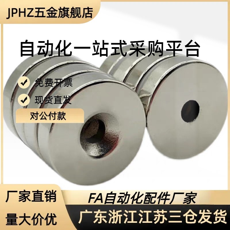 环型磁铁BLS41-D6/D8/D10-V2/V3/V4/V5/V6-T1/T2/T3/