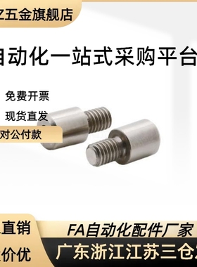 YMC01YMC02YMC03YMC11记号销内六角孔型YMC0