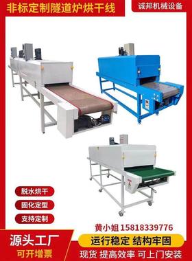 高温电热隧道炉烘干机流水线不锈钢链板烤箱丝印烤漆炉五金烘干线