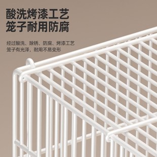 鴿子籠鳥籠家用養(yǎng)殖籠子新型戶外繁殖巢窩用具配對(duì)籠用品大全