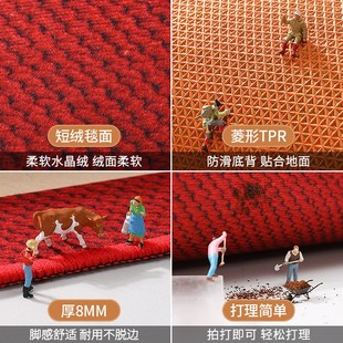 家用玄关防滑地毯 地垫入户门垫进门红色门口脚垫门厅喜庆2025新款