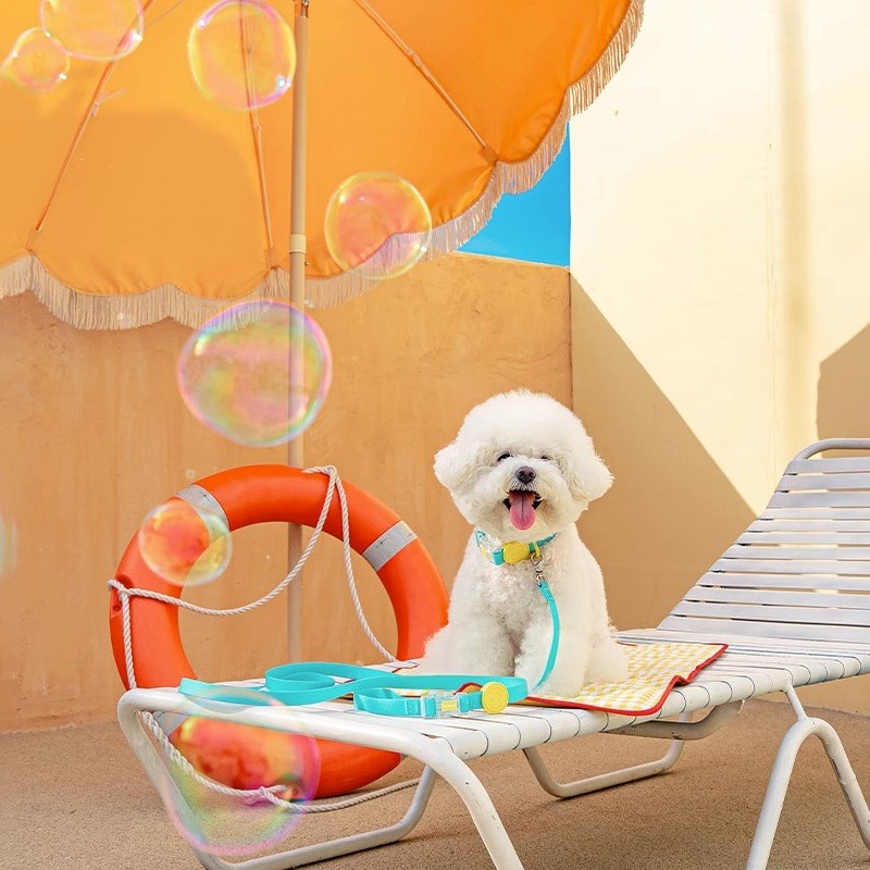 狗狗项圈牵引绳防水幼犬柯基柴犬雪纳瑞中大小型犬宠物防爆冲脖圈