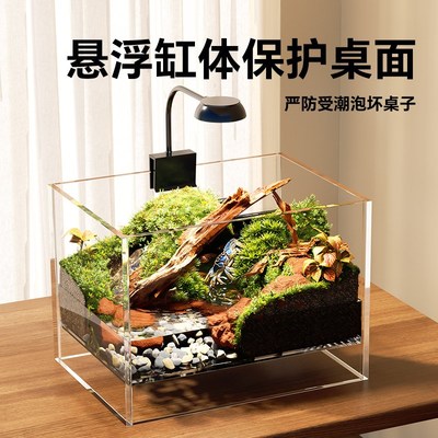 寄居蟹饲养箱小螃蟹生态相手相守蟹蟹缸宠物养螃蟹造景小别墅