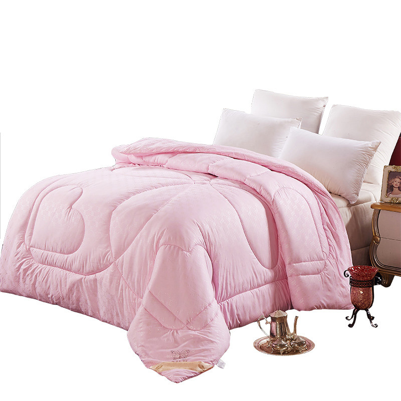 加厚12斤全棉丝棉被芯春秋冬被单人双人学生宿舍保暖被子冬季,床上用品,化纤被,淘宝优惠券,粉丝福利购,淘宝优惠卷