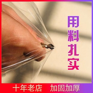 户外透明帐篷顶布四脚折叠阳光房花房保暖伸缩遮雨棚顶棚透明围布