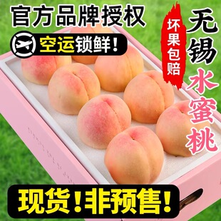 【无锡发货】头茬大果软日川白凤湖景撕皮爆汁无锡水蜜桃产地直采