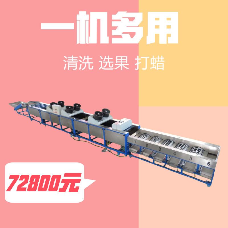 柑桔清洗打蜡分级机水果清洗机打蜡机风干机果蔬保鲜设备厂家直销