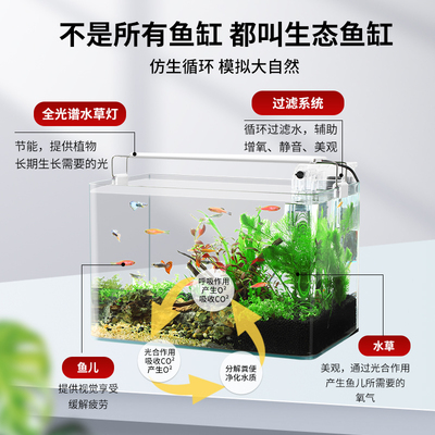 鱼缸造景全套热弯玻璃缸客厅小型桌面免换水生态草缸迷你金鱼缸