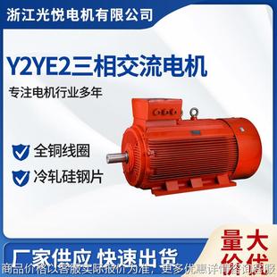 200全铜芯船舶马达大功率船用三相异步电动机 3552