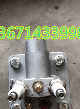 SIO40HB450--385燃气y点火烧嘴 蓄热式窑炉点火嘴 高效燃气点火咀