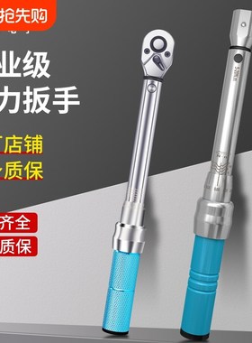 扭力扳手高精度力矩公斤棘轮扳手式汽车自行车维修套件校准检测