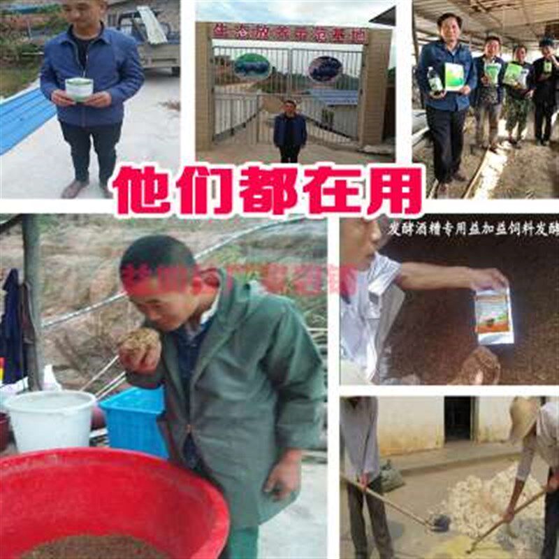豆渣发酵剂豆腐渣潲水酒糟豆粕y发酵粉发孝喂猪鸡牛羊养殖Em菌种