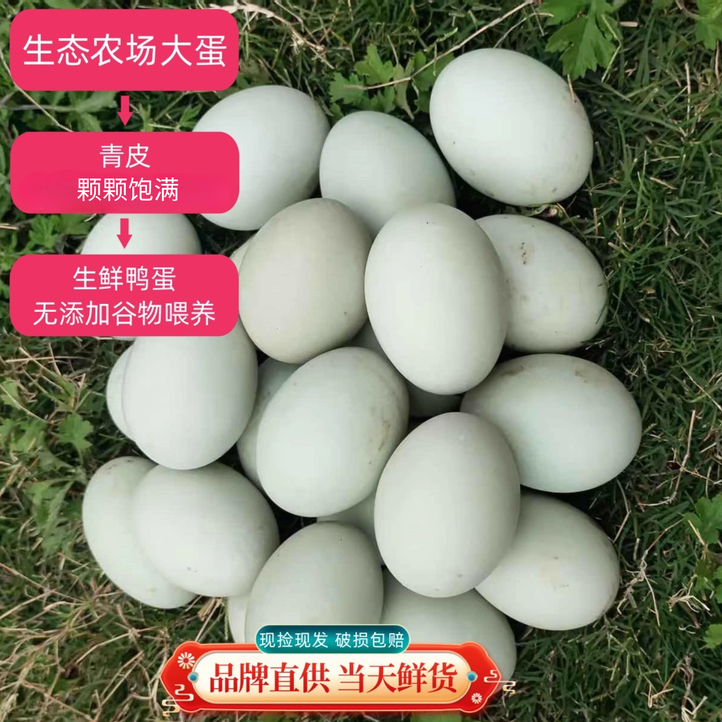 新鲜鸭蛋湖边散养土鸭蛋农家鲜蛋