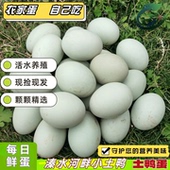 新鲜鸭蛋生鸭蛋农家散养土鸭蛋青皮大蛋生 鸭蛋鲜生鸭蛋农场鸭蛋