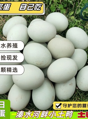 新鲜鸭蛋生鸭蛋农家散养土鸭蛋青皮大蛋生的鸭蛋鲜生鸭蛋农场鸭蛋