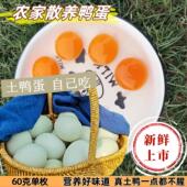 新鲜鸭蛋农家散养新鲜生鸭蛋生鲜鸭蛋新鲜农村土鸭蛋青皮绿壳大蛋