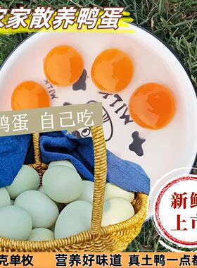 新鲜鸭蛋农家散养新鲜生鸭蛋生鲜鸭蛋新鲜农村土鸭蛋青皮绿壳大蛋