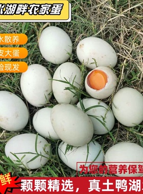 农家散养土鸭蛋生鲜鸭蛋生鸭蛋绿皮大蛋青皮鸭蛋新鲜鸭蛋腌咸鸭蛋