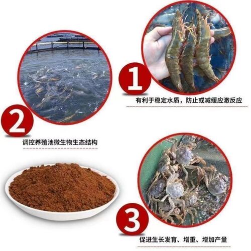 红糖养殖专用50斤工业红糖水产养殖农业种植EM菌培发酵水肥污水处