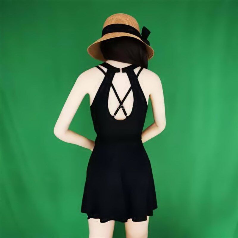 泳衣女裙式连体大小胸钢托聚拢遮肚显瘦平角如厕版温泉泡澡服泳装